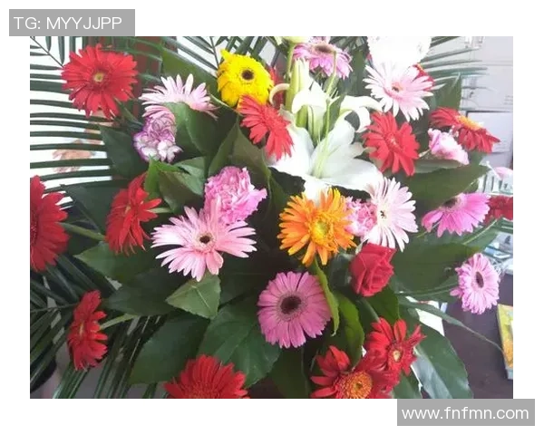 汇聚创意之光，点亮娱乐新篇章，开启无限可能的精彩旅程